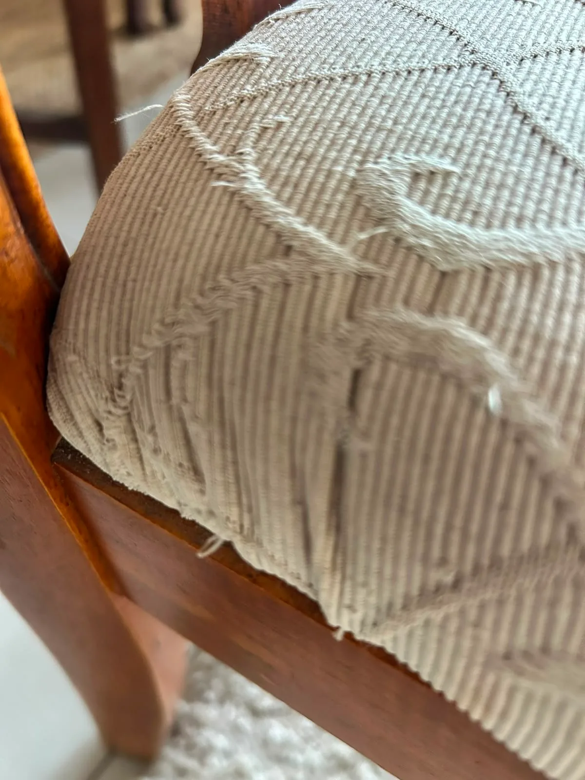 6 sillas de comedor, madera y tapiz brocado/jacquard — vista 3