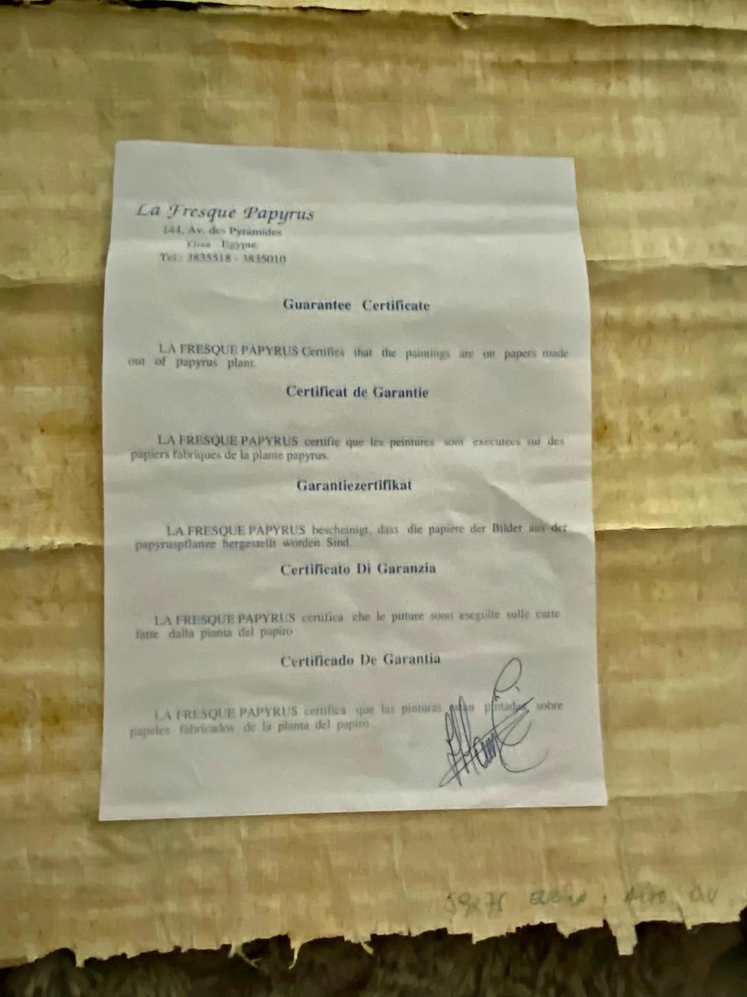 Papiro original con certificado — vista 6