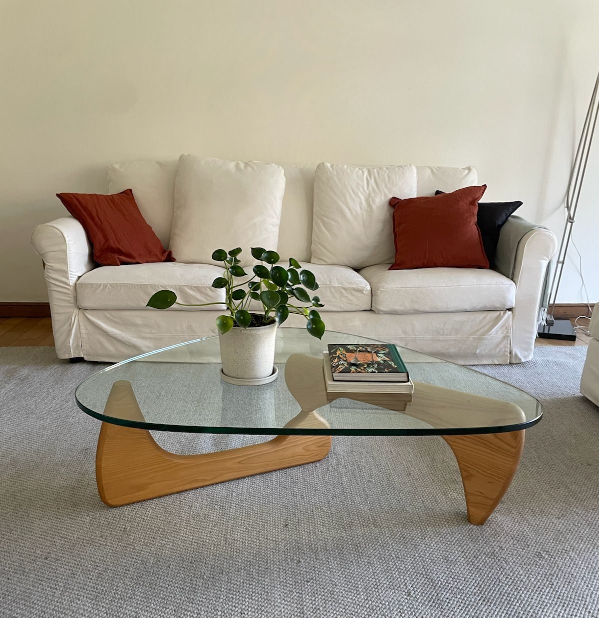 WhatsApp Image 2026-03-26 at 12.55.00