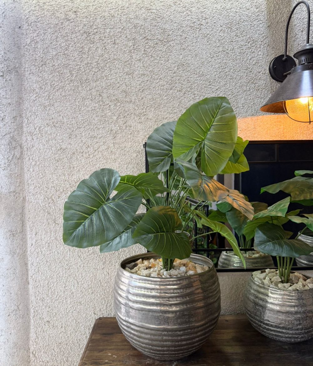 WhatsApp Image 2026-03-26 at 14.37.22