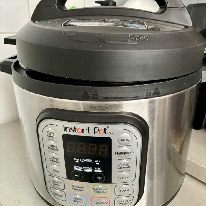 Instant Pot Duo 60.